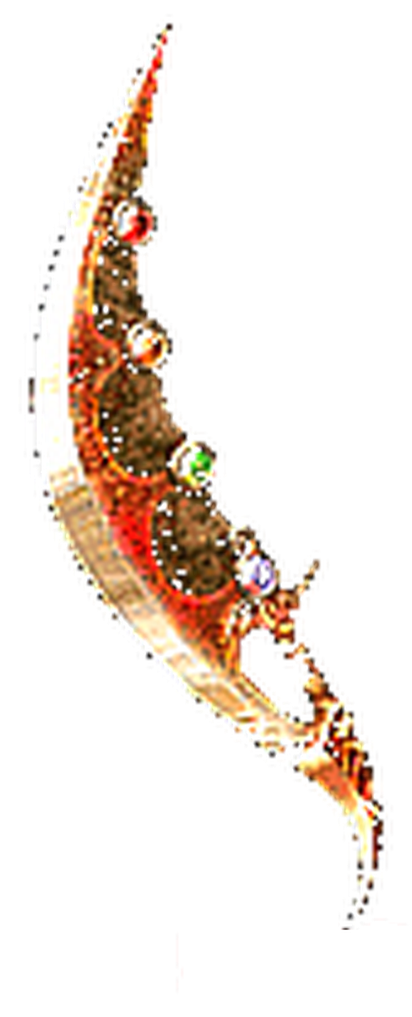 魅影之身